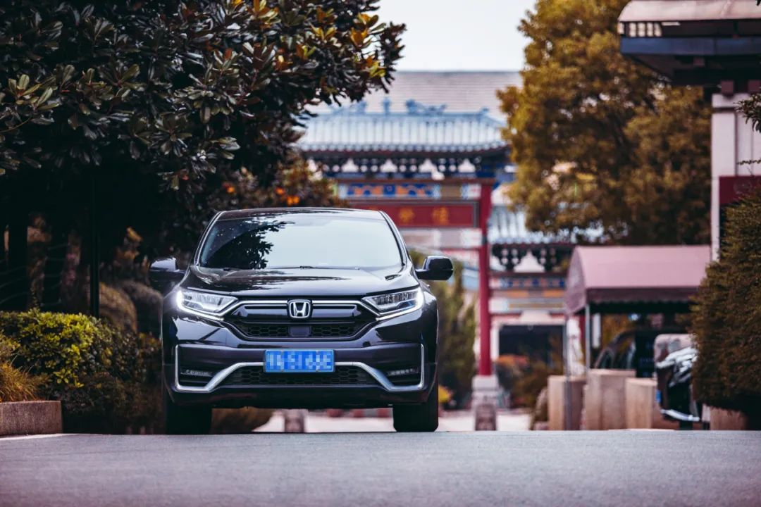 本人有料 | 愿歷經(jīng)千帆，歸來仍是少年